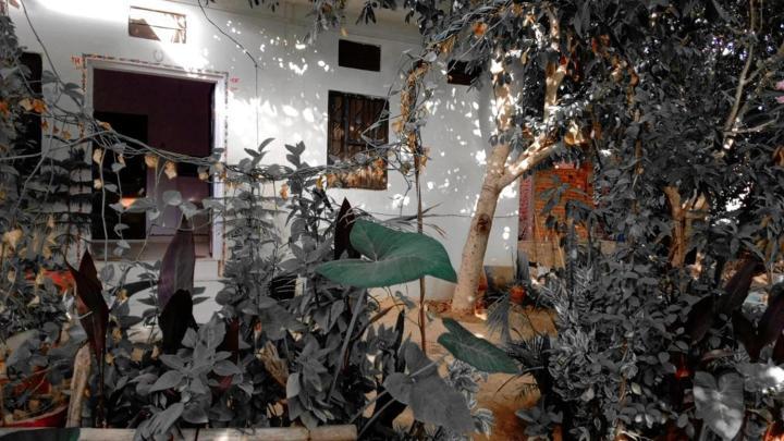 Hotel The Pushkar Flower Exterior photo